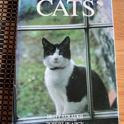 Encyclopedia Of Cats