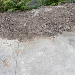 Dirt Free 