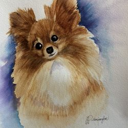 Original Painting Of Peekanese Dog On Watercolor Paper