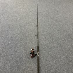 Turner's Outdoorsman Saltwater Combo Rod