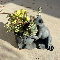 Succulent Frog Planter