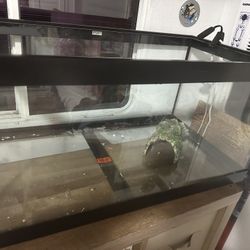 Aquarium 