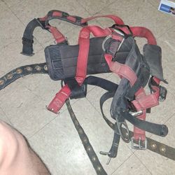 Harness