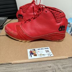 Size 9.5 - Air Jordan 23 Retro Chicago Red
