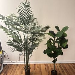 Fake Plants 