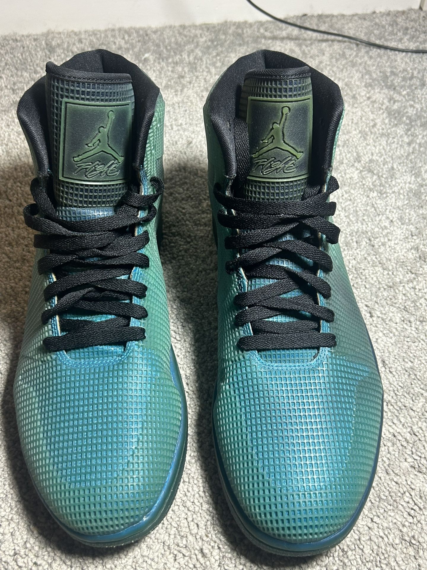 Jordan Future Flight Remix – Size 11 (Men’s)