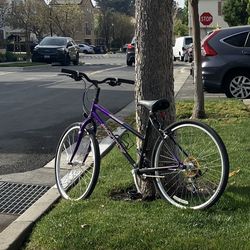 Bike for Free (women)