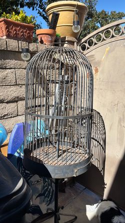 Vintage Wrought Iron Parrot Cage