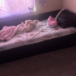 Day Bed W/Trundle