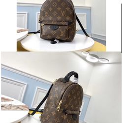Louis Vuitton Plam Springs Back Pack