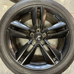 mustang s550 REAR wheels