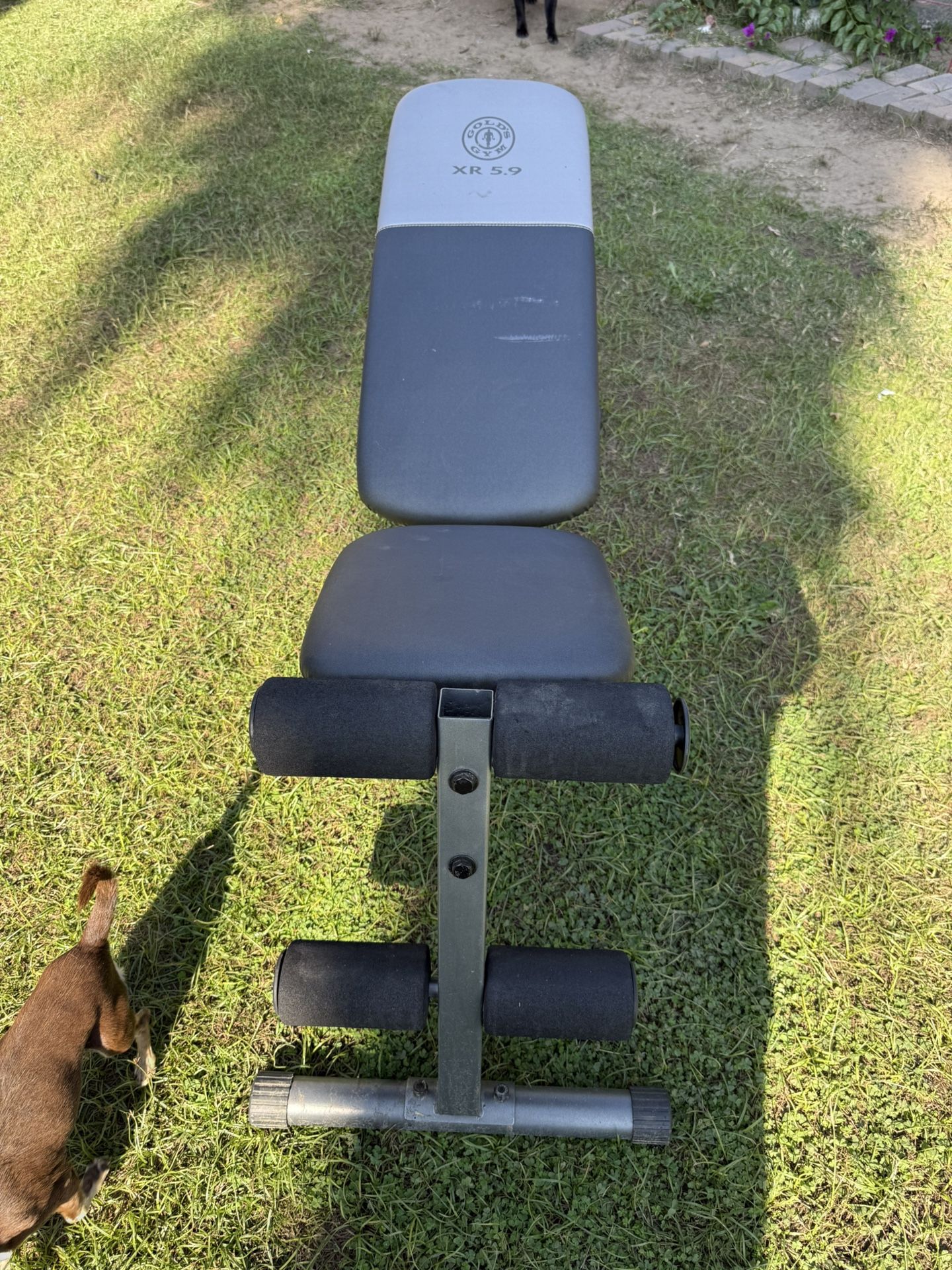 Adjustable Gym Bench