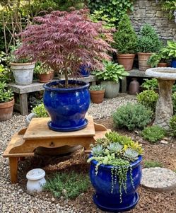Large Plant pots -A set of Imperial blue 14"Ceramic pots