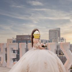 Quinceañera Dress 
