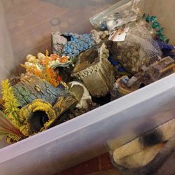Bin  Of Fish Decor All Nice Pieces
