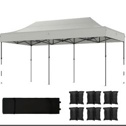 Heavy Dutty pop up canopy 10x20