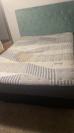 Queen Bed For Sale 
