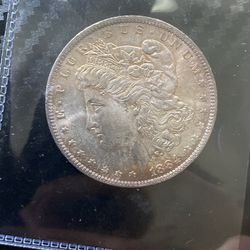 1884-O Morgan Toned