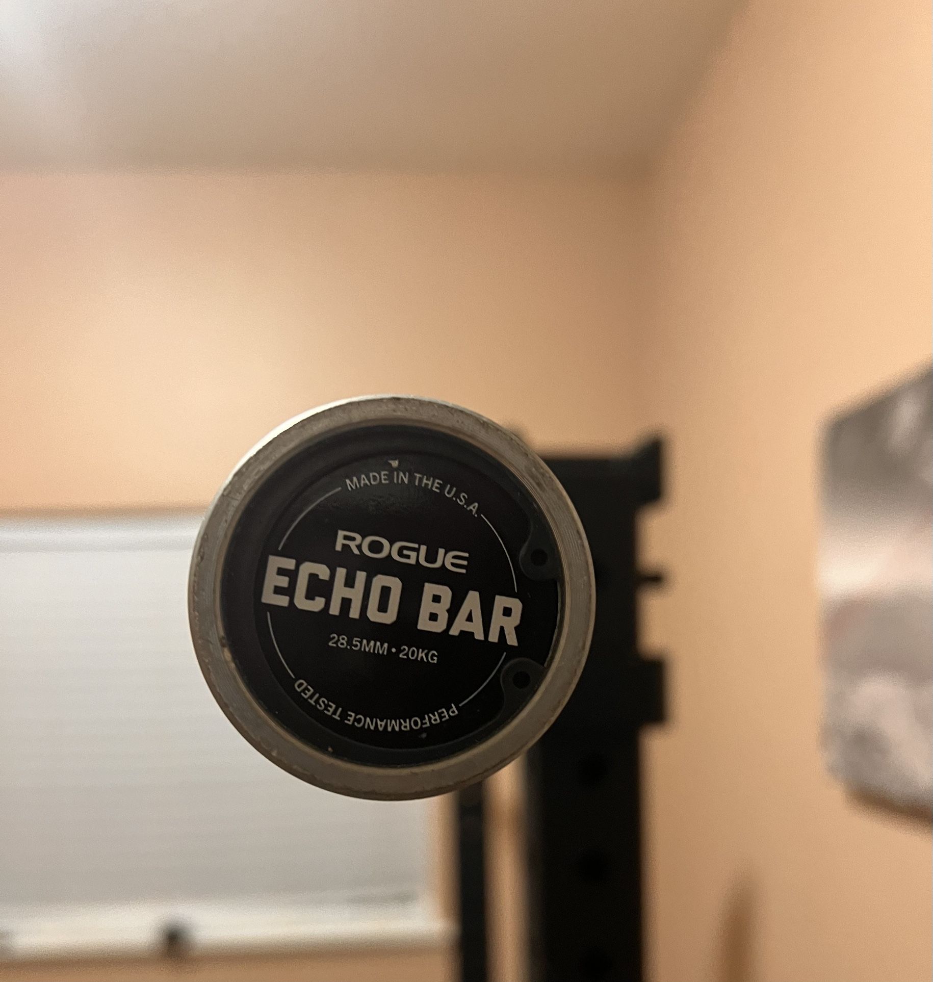 Rogue Echo Barbell