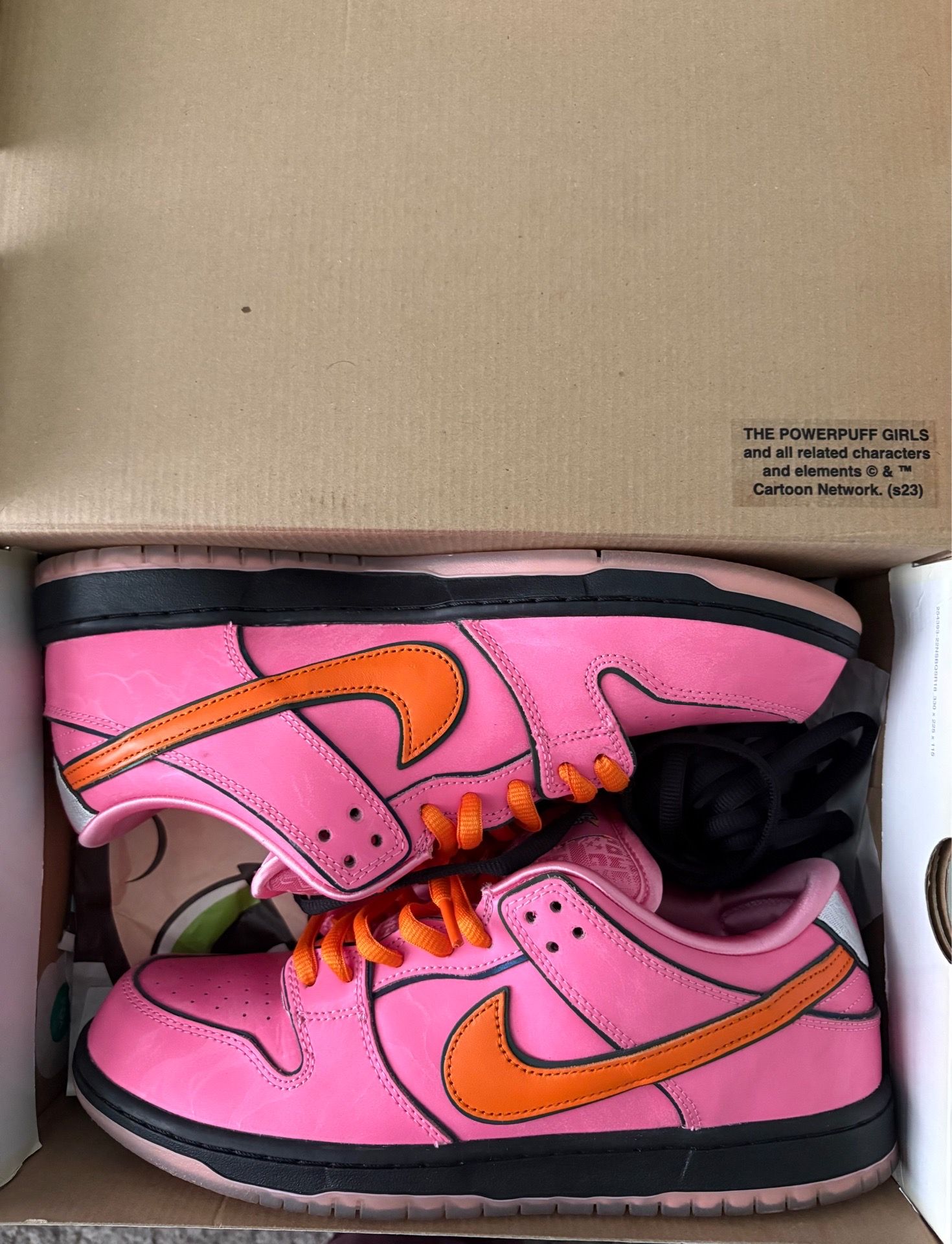 Nike SB Dunks (powerpuff collab)