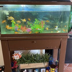 Fish Tank 36 Inch 60$