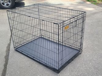 Like New Life Stages Large Dog Crate