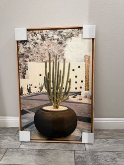 Framed Cactus Photography Wall Art Print