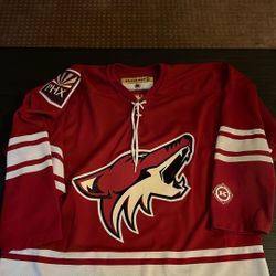 Phoenix Coyotes Hockey Jersey