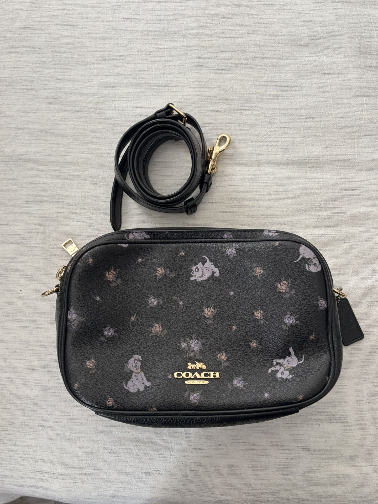 Disney Coach Bag