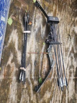 Bow and arrows with extras