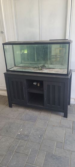 Aquarium  and stand