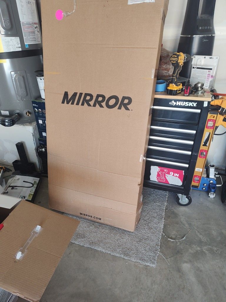 Lululemon Mirror Workout !