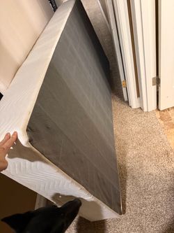 Free twin mattresses