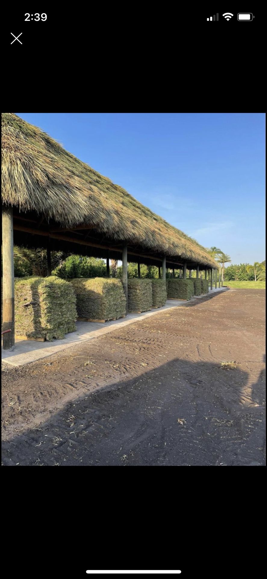 Big Offer!!! Sod Pallets for Sale in Fort Lauderdale, FL OfferUp