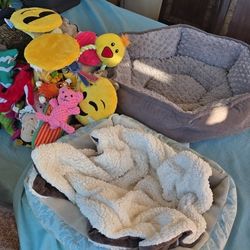 Set For dog and toys