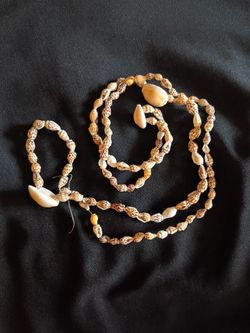 32" Seashell Necklace .