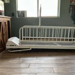 Electric Dog Treadmill