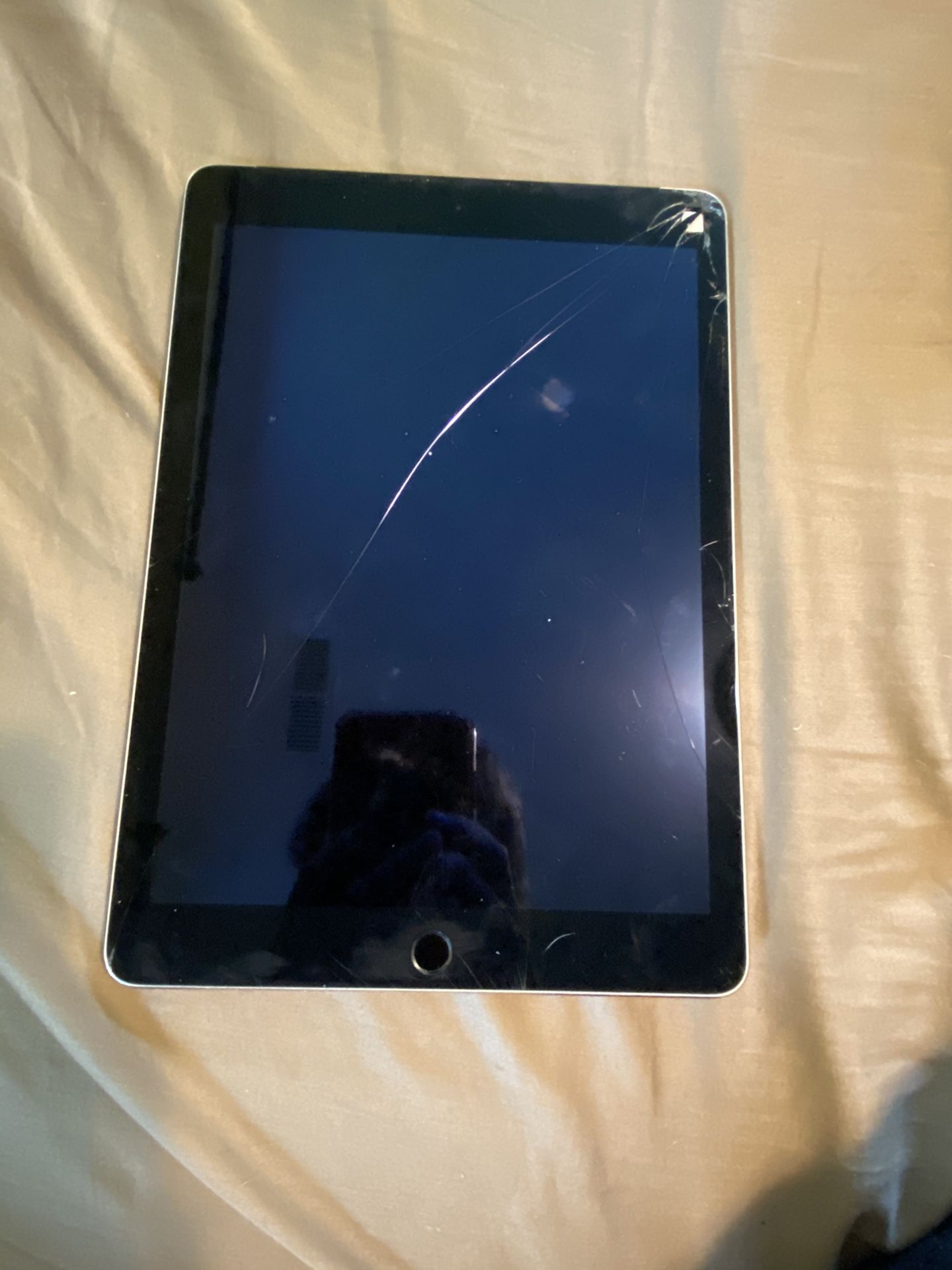 iPad Air 2 with Cellular