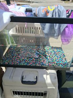 20gal fish tank