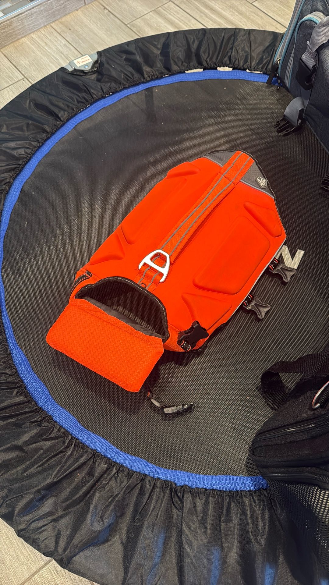 Dog Floatie