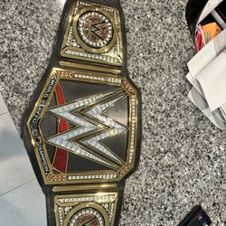 WWE Replica Title Signed 