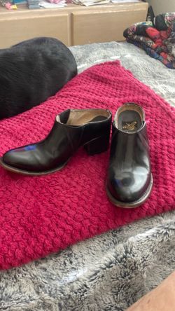 Freebird Size 7 blk Booties
