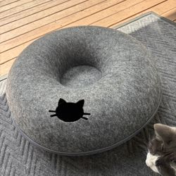 Donut Cat Cave