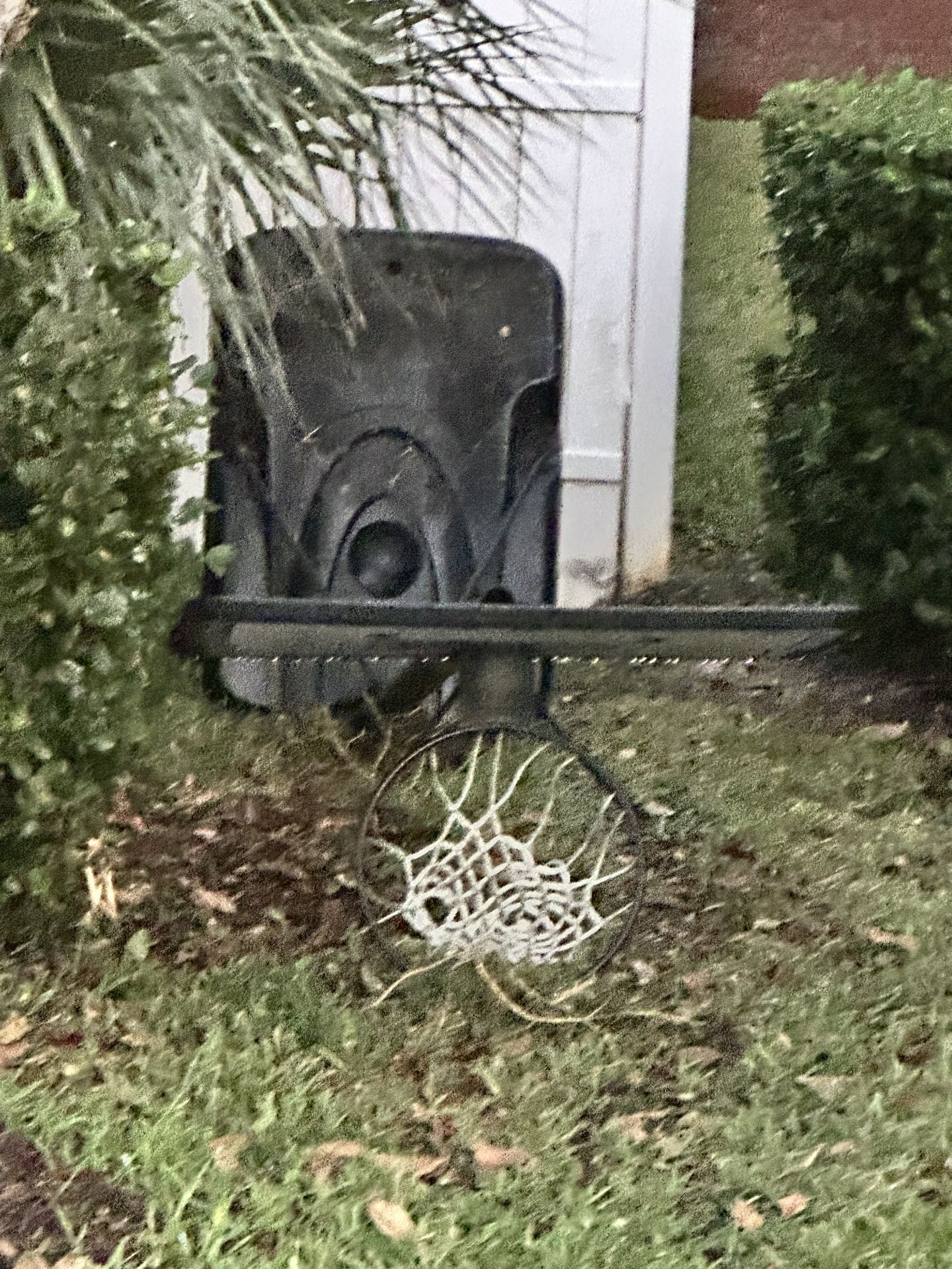 Free Basketball Hoop