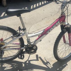 Pink Trek MT 220 Bicycle 