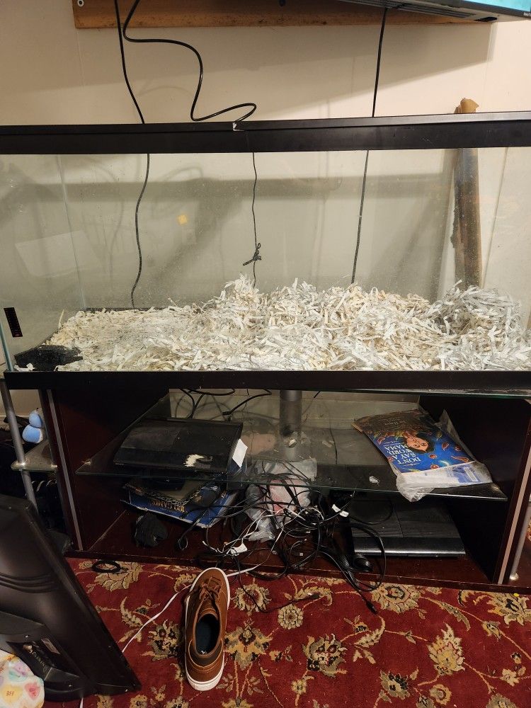 Snake Tank