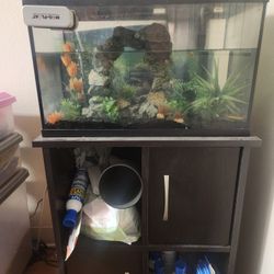 10 Gal Fish Tank & Stand