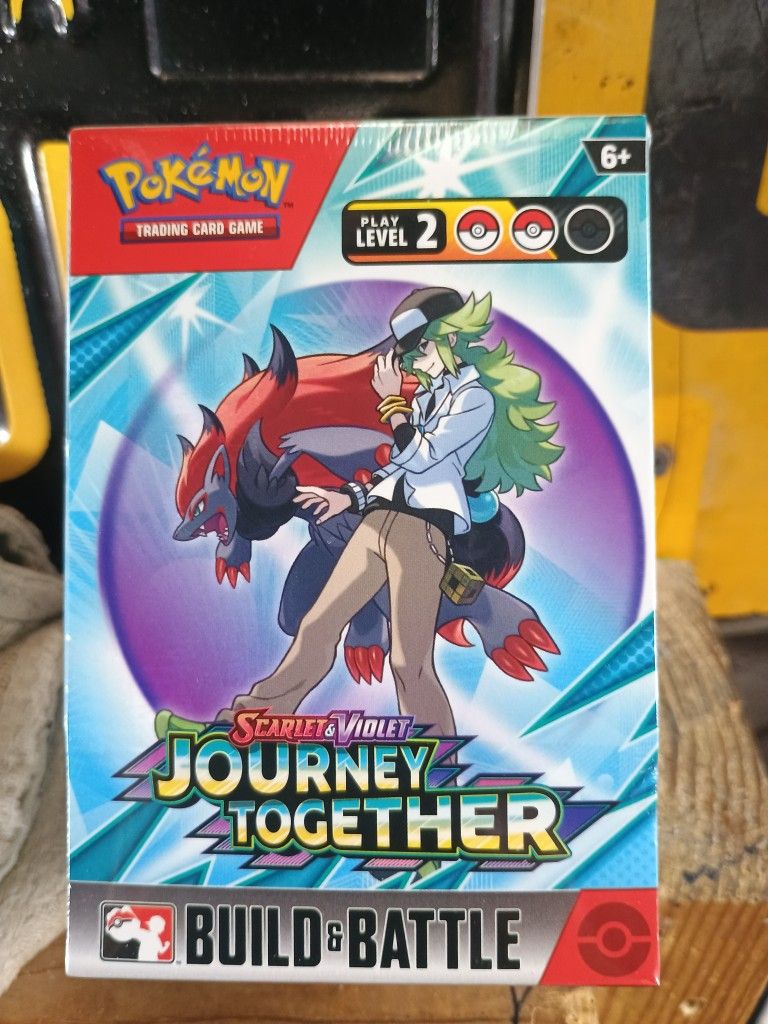 Pokémon Journey Together