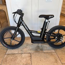 Greenger Saddleback 16 Inch Ebike Electric Bike Stacyc 