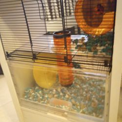 Cool Hampster 2 Floor Cage with Lots Of Accessories, Excellent! $40.